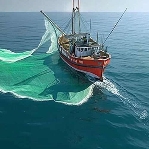 The Introduction Of Trawler